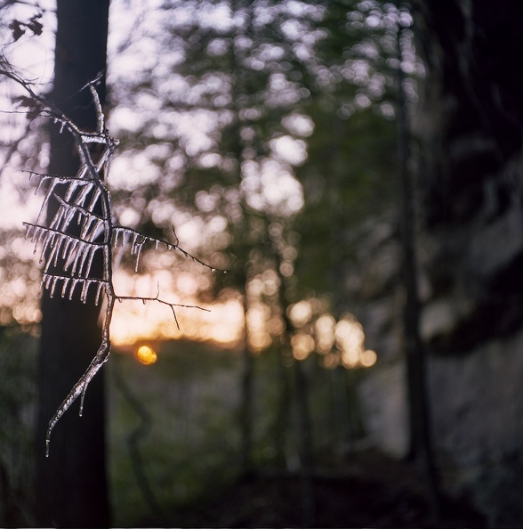 Ice on the Sheltowee Trace 3.jpg